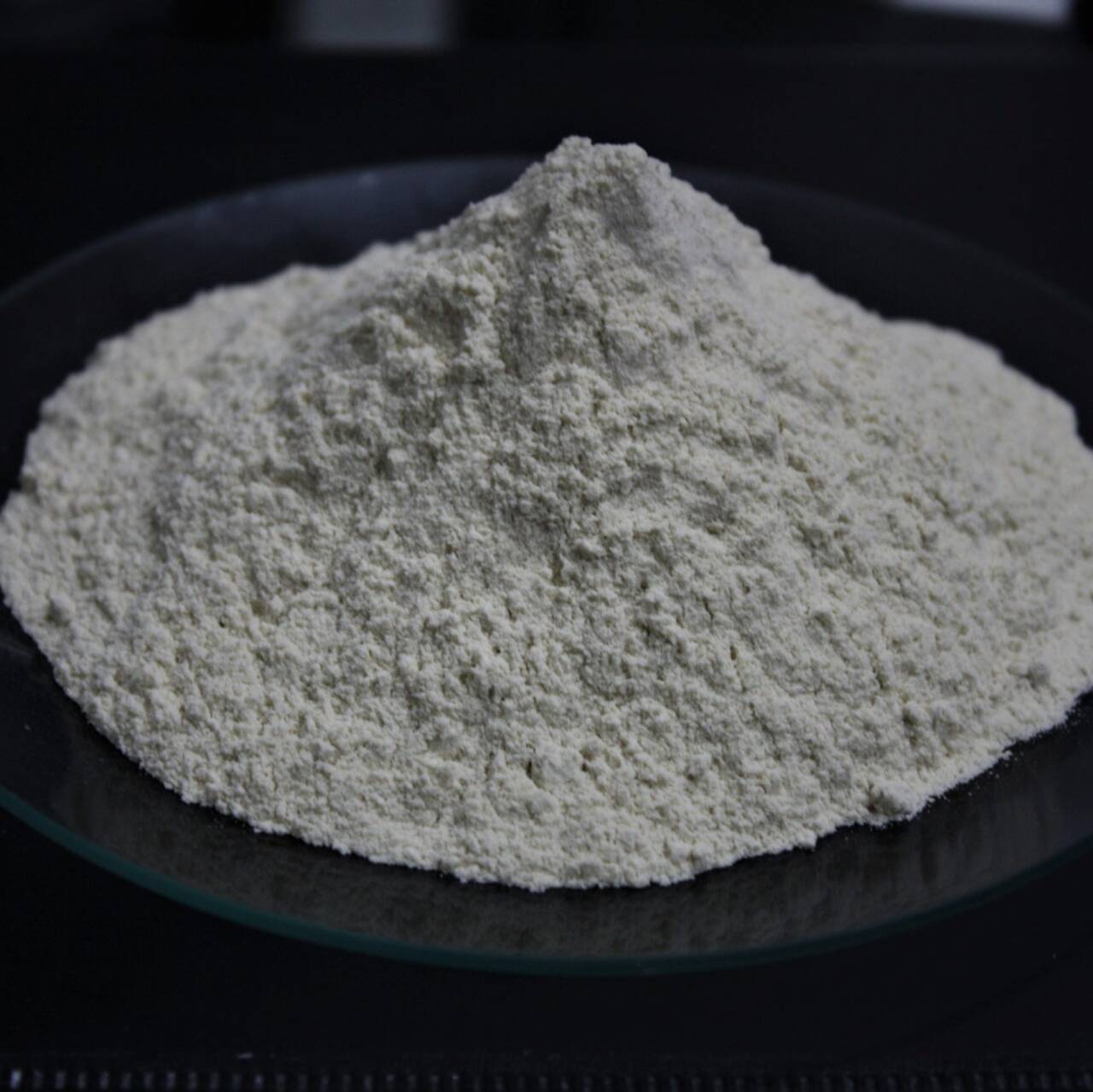 Food Grade Natural Natamycin Powder